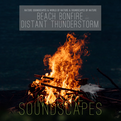 Beach Bonfire and Distant Thunderstorm's cover