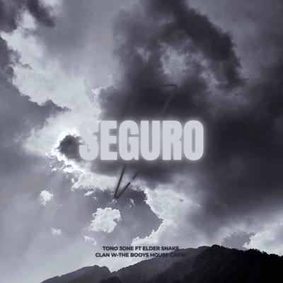 Seguro's cover