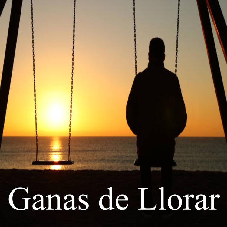 Llorar's avatar image