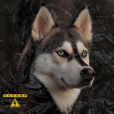 Husky Siberiano's cover