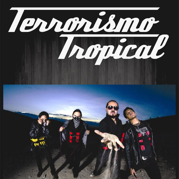Terrorismo Tropical's avatar image