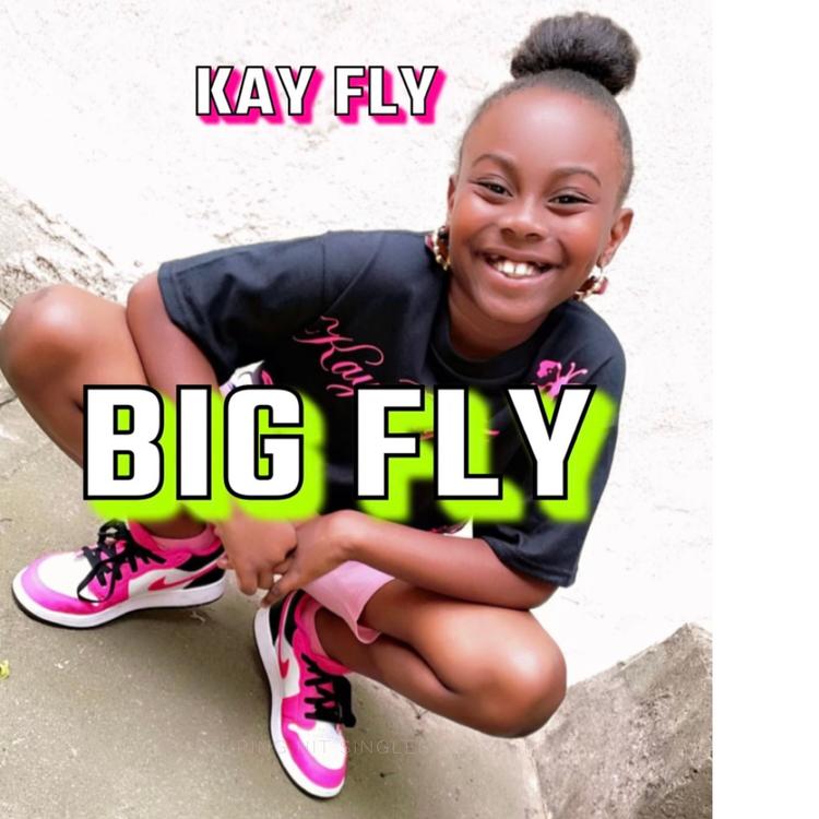 Kay Fly's avatar image