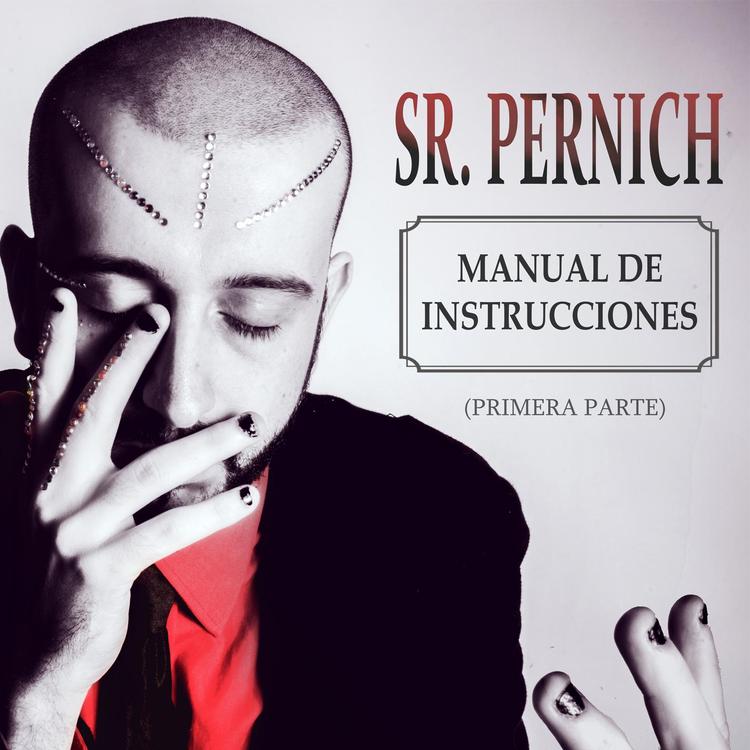 Sr Pernich's avatar image