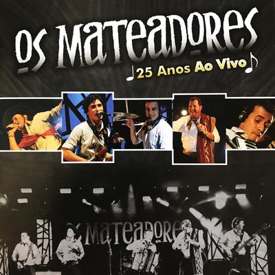 Os Mateadores 25 Anos Ao Vivo's cover