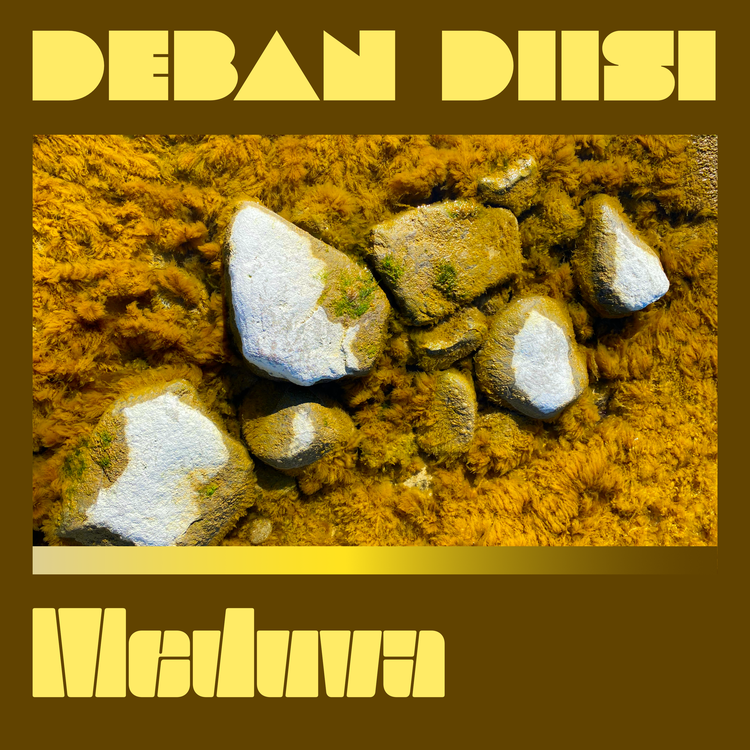 Deban Diisi's avatar image