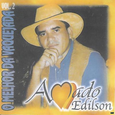 A Culpa Foi Toda Dela (Ao Vivo) By Amado Edilson's cover