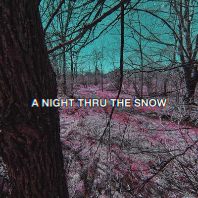 A NIGHT THRU THE SNOW's cover