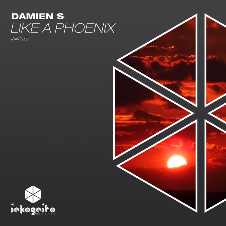 Damien S's avatar image