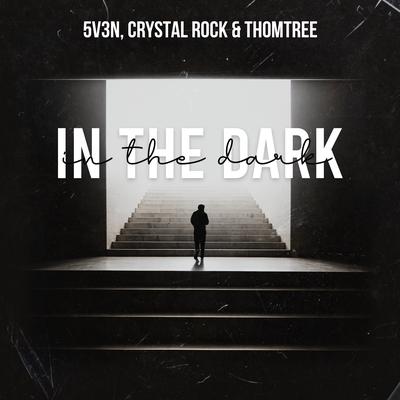 In the Dark By 5V3N, Crystal Rock, ThomTree, Blaikz's cover