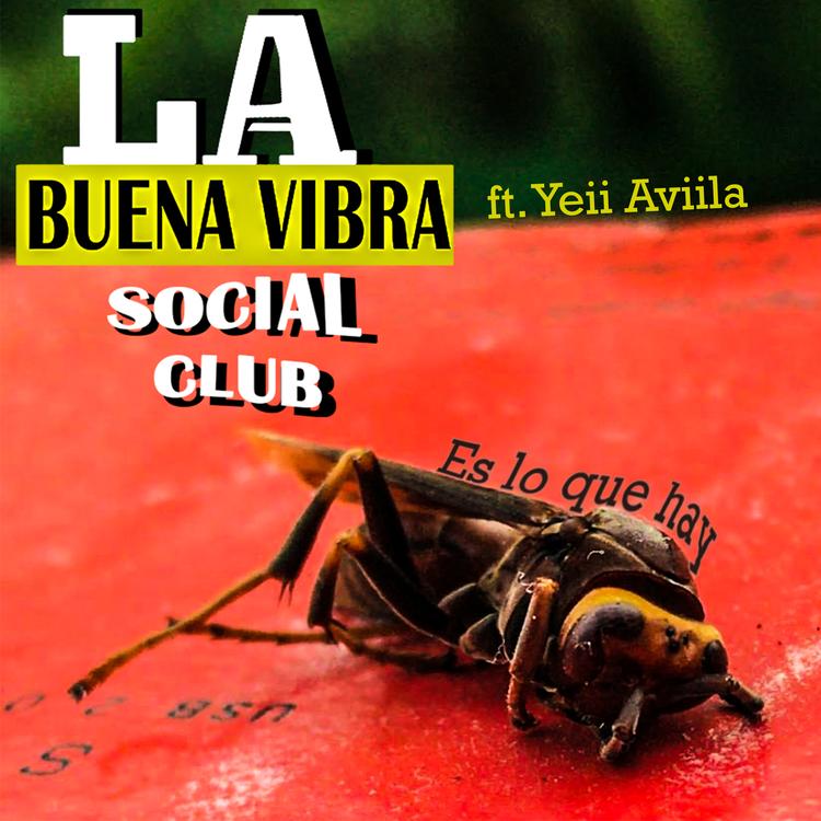 La Buena Vibra Social Club's avatar image