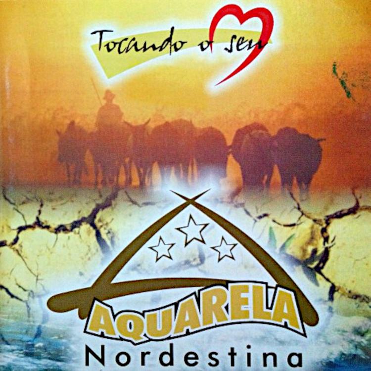 Aquarela Nordestina's avatar image