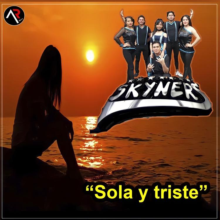 Grupo Skyners's avatar image