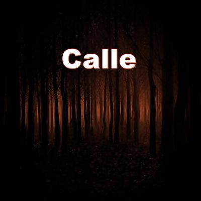 Calle's cover