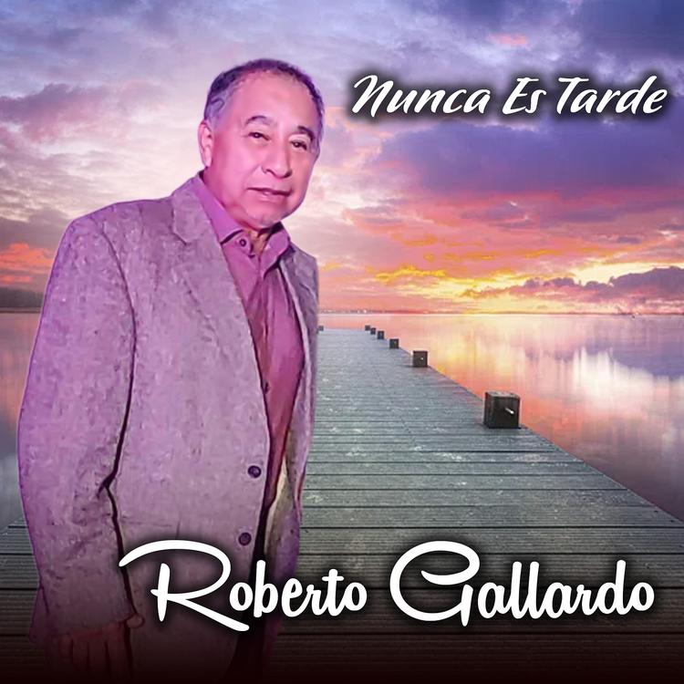 Roberto Gallardo's avatar image