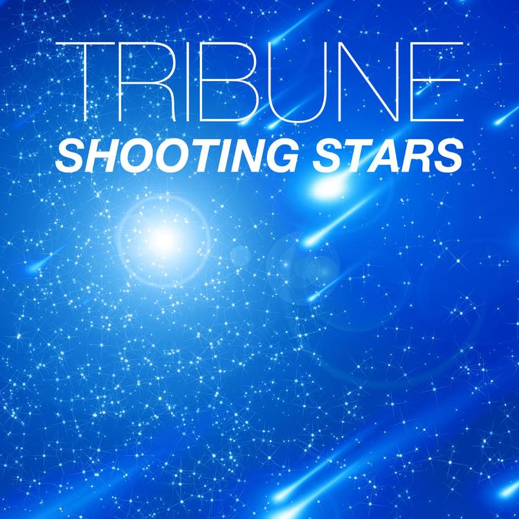 Tribune's avatar image