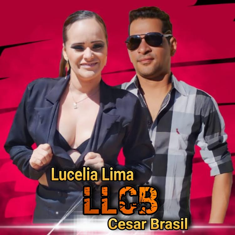 Lucelia Lima e Cesar Brasil's avatar image