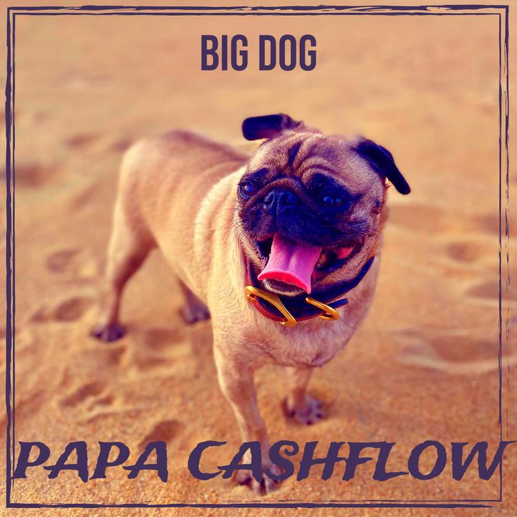 Papa Cashflow's avatar image