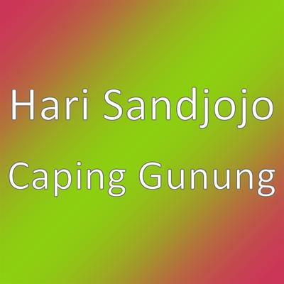 Hari Sandjojo's cover