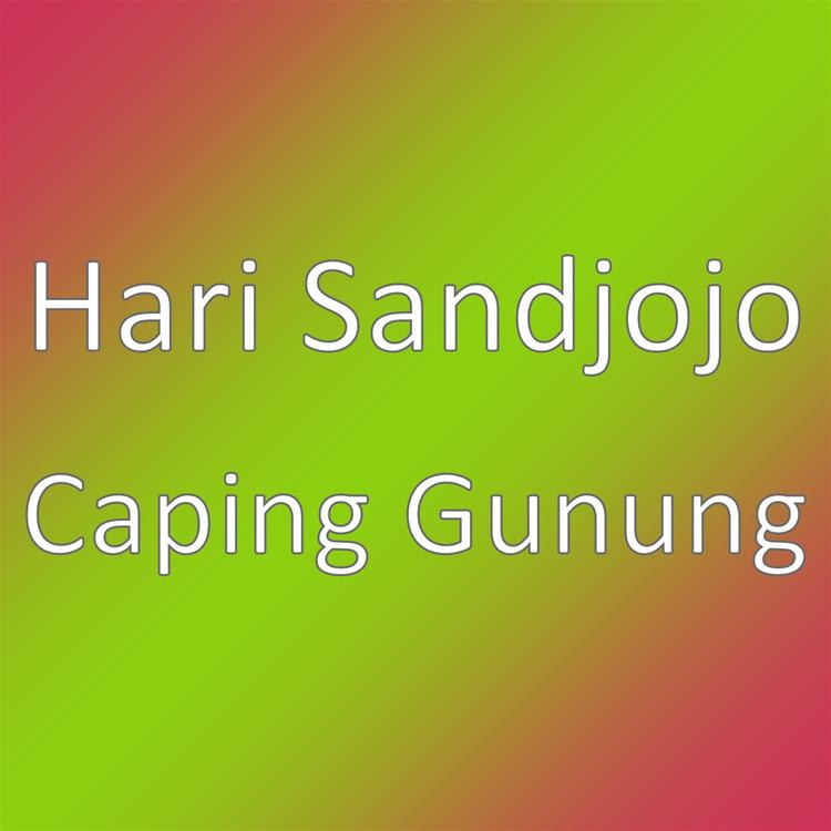Hari Sandjojo's avatar image