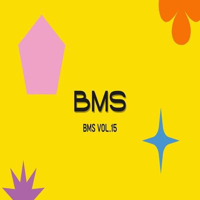 BMSBV's cover