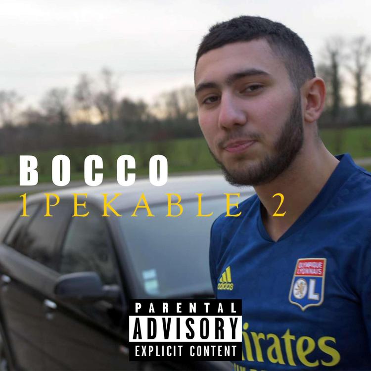 BOCCO's avatar image