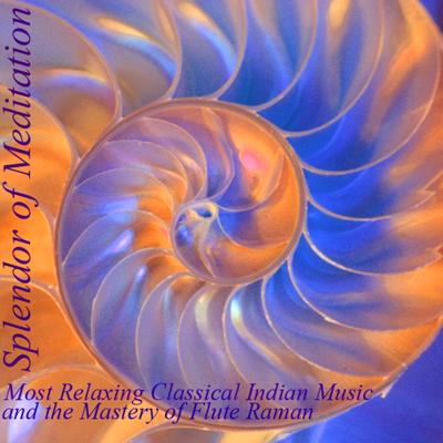Shrotasvini (Relaxing into the Music of the Breath) By Splendor of Meditation's cover