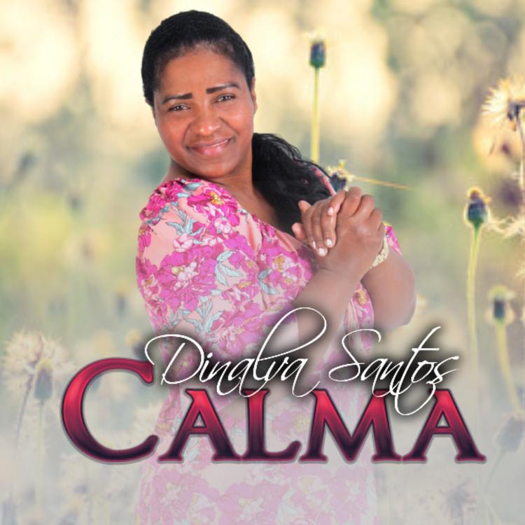 Dinalva Santos's avatar image