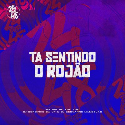 Ta Sentindo o Rojão By Mc Mr. Bim, DJ GORDINHO DA VF, Dj Giovanne Mandelão, Mc Vuk Vuk's cover