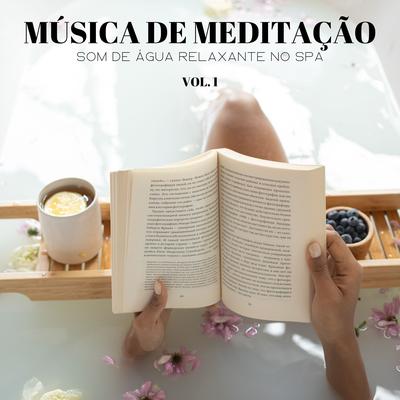 Música De Meditação: Som De Água Relaxante No Spa, Vol. 1's cover