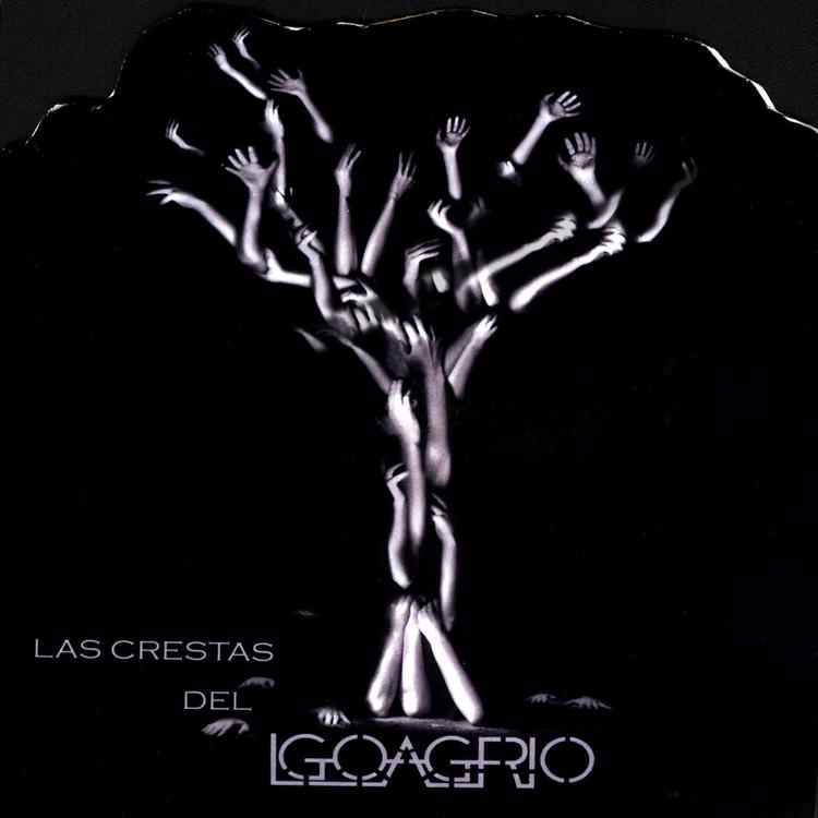 Las Crestas del Igoagrio's avatar image