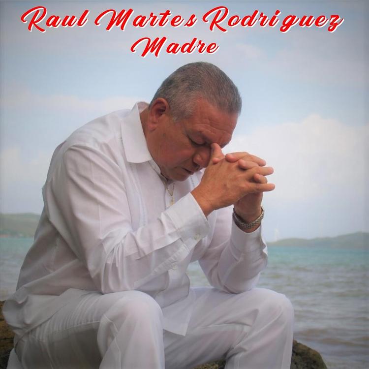 Raul Martes Rodriguez's avatar image