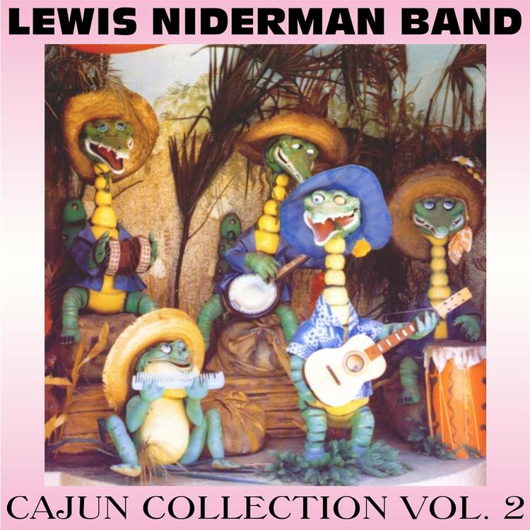 Lewis Niderman Band's avatar image