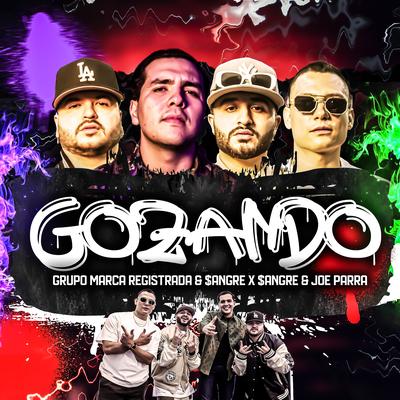 GOZANDO By Grupo Marca Registrada, Sangre X Sangre, Joe Parra's cover
