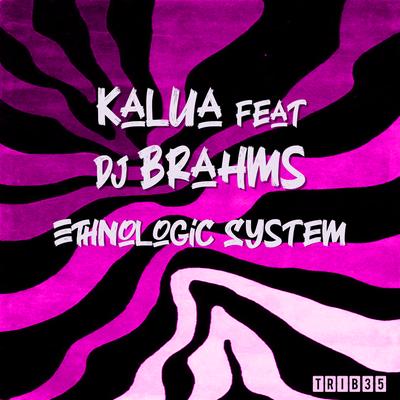 Ethnologic System's cover