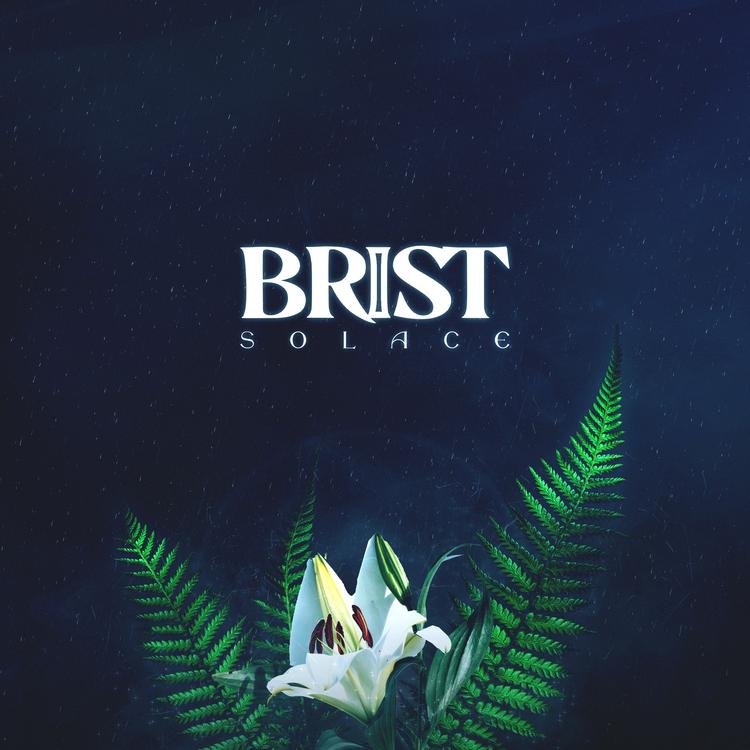 Brist's avatar image