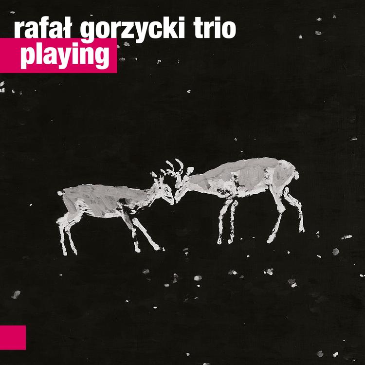 Rafal Gorzycki Trio's avatar image