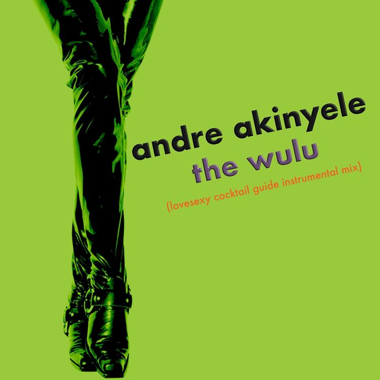 Andre Akinyele's avatar image