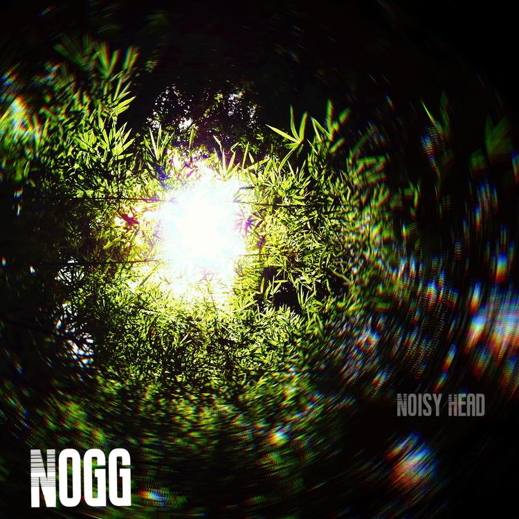Nogg's avatar image