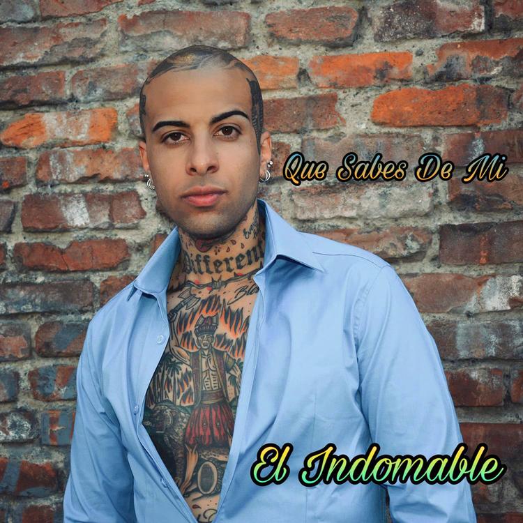 El Indomable's avatar image