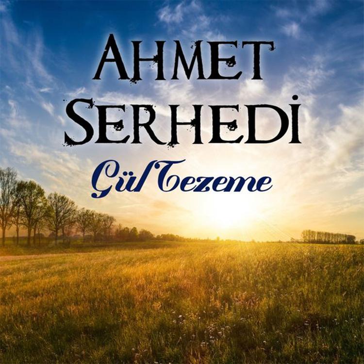 Ahmet Serhedi's avatar image