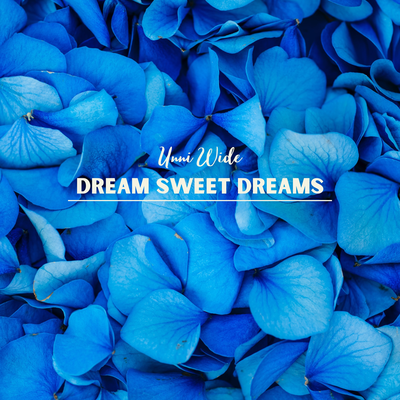 Dream Sweet Dreams By Unni Wide's cover