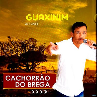 Aí Eu Choro (Ao Vivo) By Cachorrão do Brega's cover