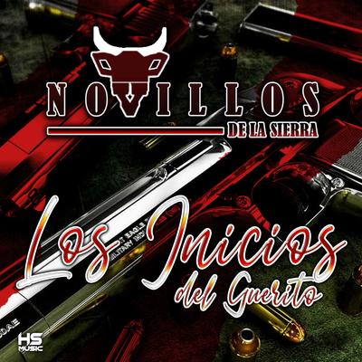 Los Inicios del Guerito's cover