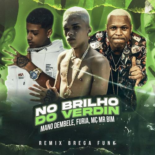 No Brilho Do Verdin (Remix Brega Funk)'s cover