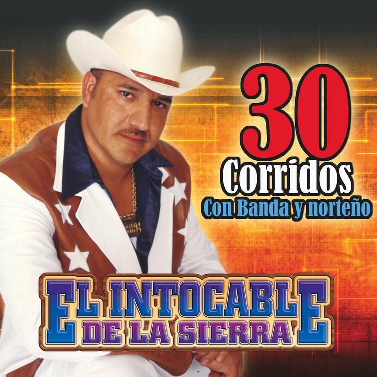 El Intocable de la Sierra's avatar image