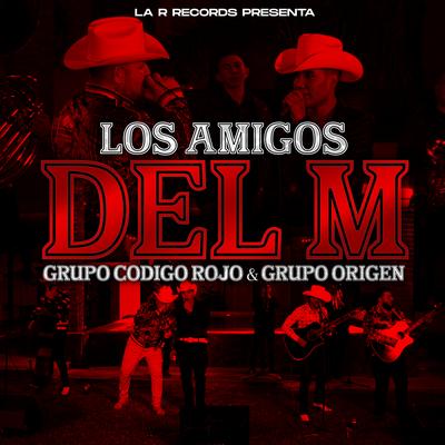 Los Amigos del M (En Vivo)'s cover