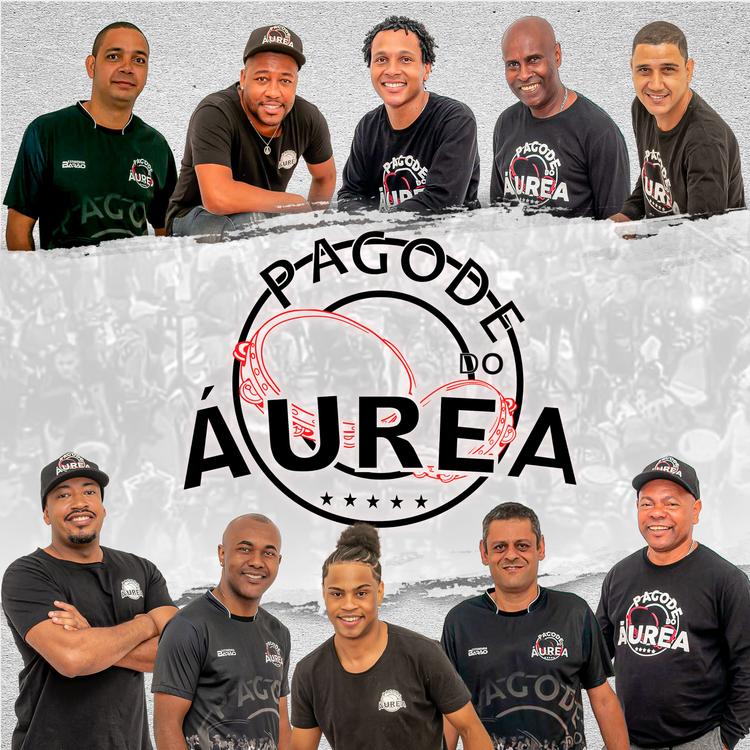 Pagode do Áurea's avatar image