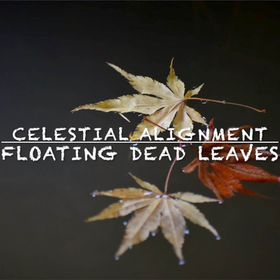 Floating Dead Leaves (From "Naruto Shippuden") [Lofi Beat] By Celestial Alignment's cover