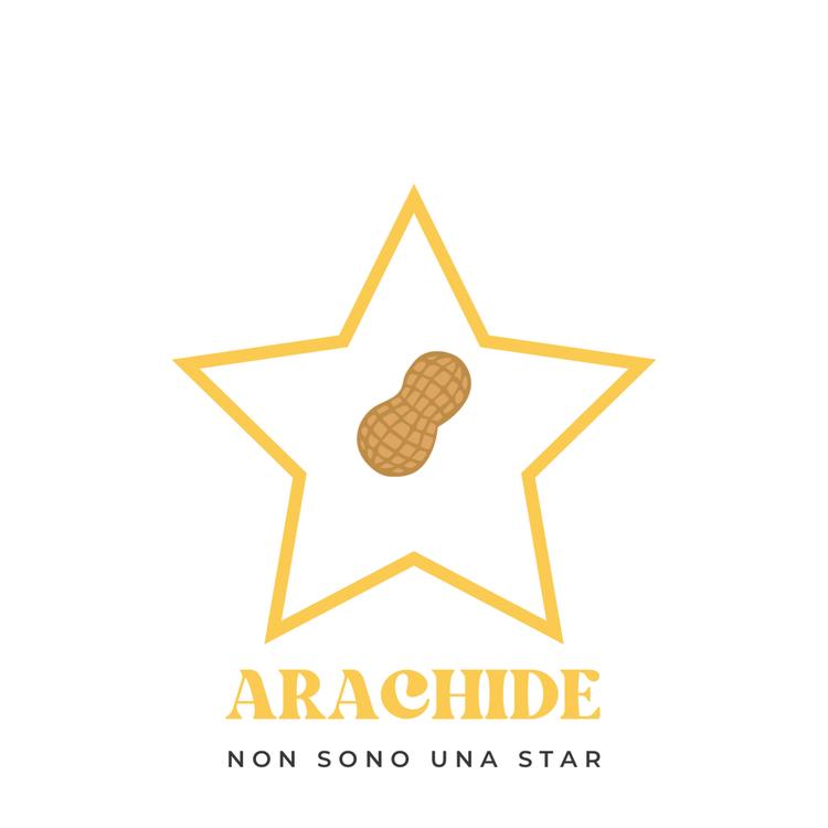 Arachide's avatar image