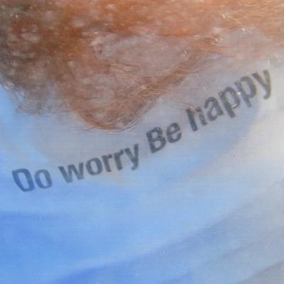 Do worry Be happy's cover
